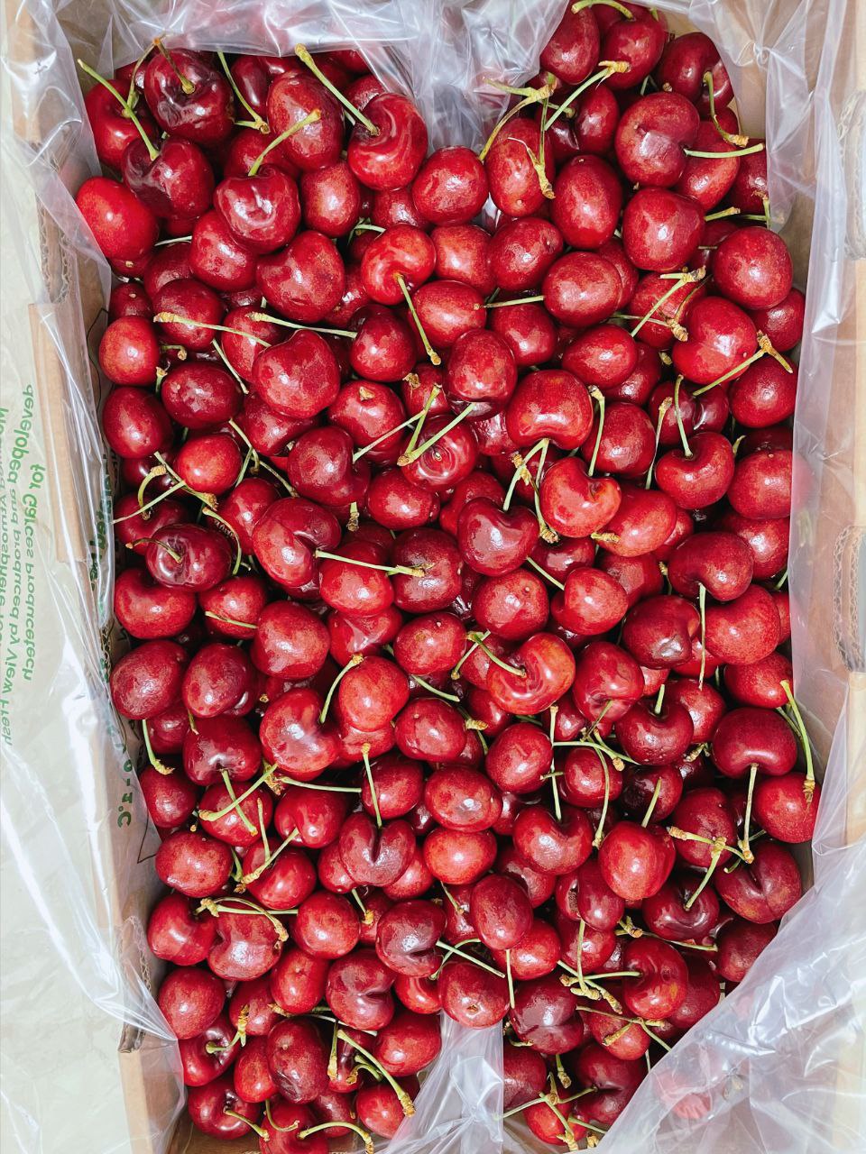 图片[1]-生活日常/聚会/娱乐-PUA泡学资源网 | 收录全网PUA和情感课程