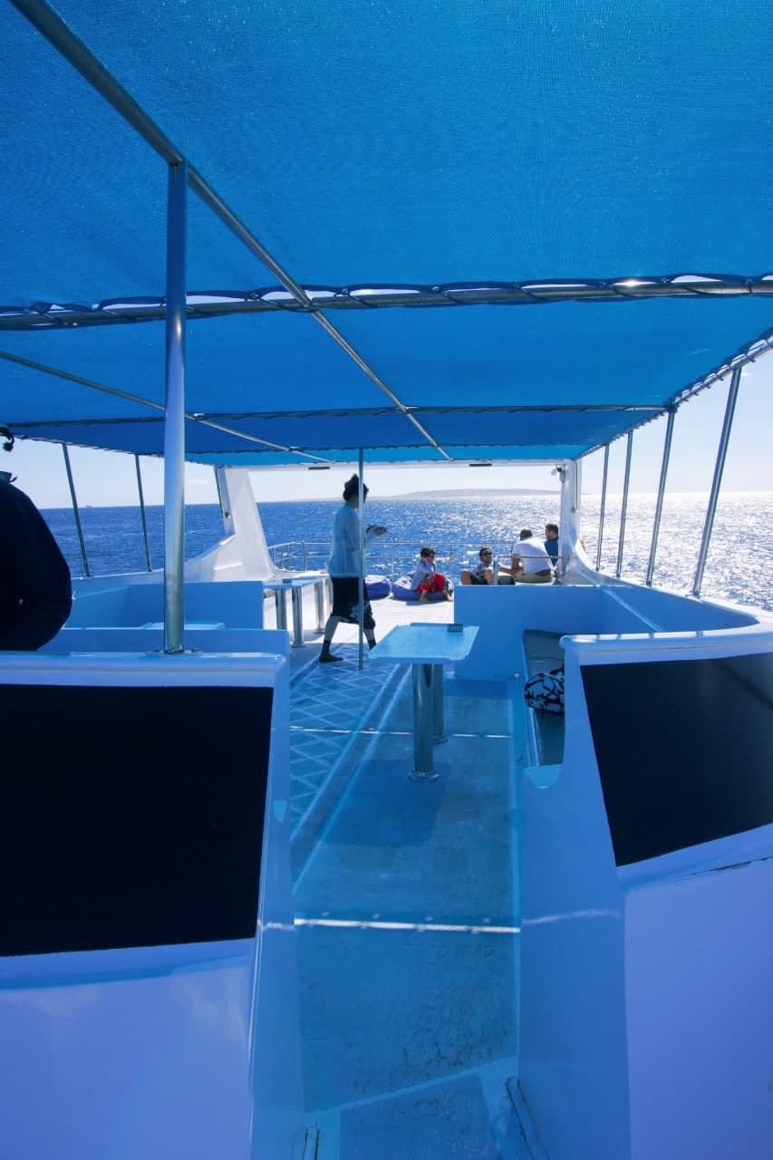 图片[6]-生活日常/聚会/娱乐-PUA泡学资源网 | 收录全网PUA和情感课程