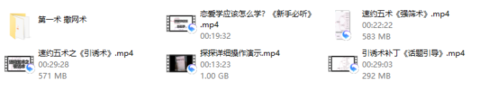 魅男情感《速约五术》-PUA泡学资源网 | 收录全网PUA和情感课程