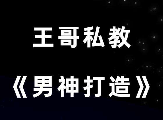 王哥私教课